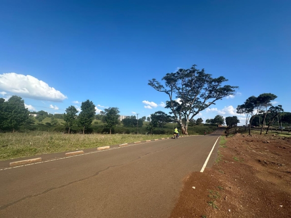 Access Road to Property