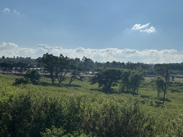 Inside Property Views