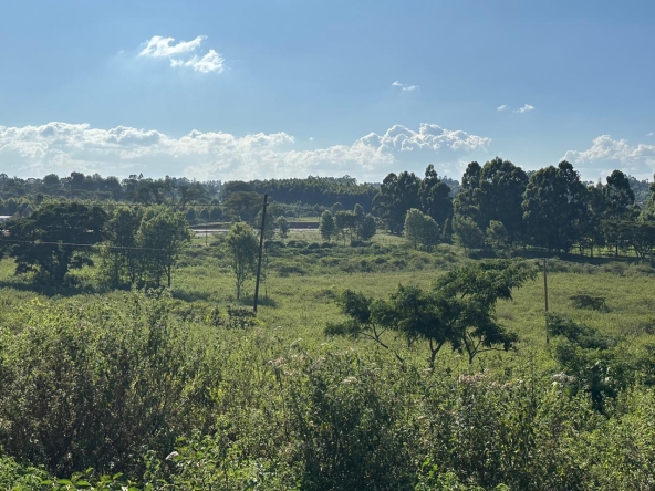 Property Views From Southern Bypass